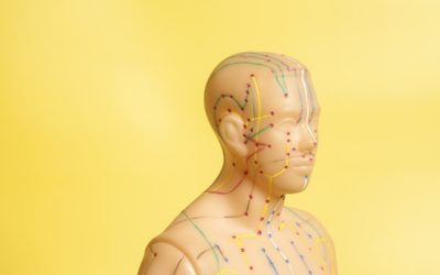The 12 Meridians of Acupuncture