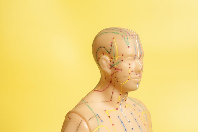 The 12 Meridians of Acupuncture